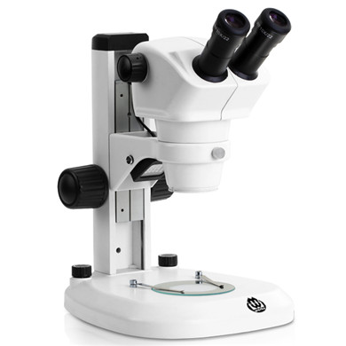 Zoom stereo microscope